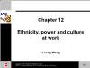 Bài giảng Managing Diversity - Chapter 12 Ethnicity, power and culture at work