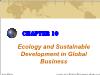 Chapter 10: Ecology and Sustainable Development in Global Business