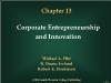 Chapter 13 Corporate Entrepreneurship and Innovation