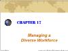 Chapter 17: Managing a Diverse Workforce
