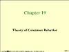 Chapter 19: Theory of Consumer Behavior