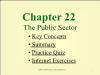 Chapter 22: The Public Sector