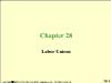 Chapter 28: Labor Unions