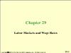 Chapter 29: Labor Markets and Wage Rates