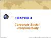 Chapter 3: Corporate Social Responsibility