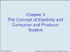 Chapter 3: The Concept of Elasticity and Consumer and Producer Surplus