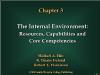 Chapter 3 The Internal Environment: Resources, Capabilities and Core Competencies