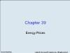 Chapter 39 Energy Prices