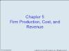 Chapter 5 Firm Production, Cost, and Revenue