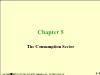 Chapter 5: The Consumption Sector