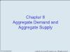 Chapter 8: Aggregate Demand and Aggregate Supply