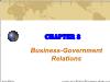 Chapter 8: Business-Government Relations