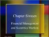 Chapter Sixteen Financial Management and Securities Markets