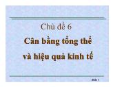 Chủ đề 6 Cân bằng tổng thể và hiệu quả kinh tế