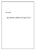 Giáo trình Hệ thống thông tin quản lý