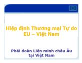 Hiệp định Thương mại Tự do EU – Việt Nam: Phái đoàn Liên minh châu Âu tại Việt Nam