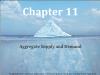 Chapter 11: Aggregate Supply and Demand