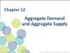 Chapter 12: Aggregate Demand and Aggregate Supply (2)
