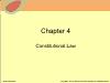 Chapter 4: Constitutional Law