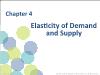 Chapter 4: Elasticity of Demand and Supply