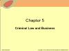 Chapter 5: Criminal Law and Business