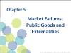 Chapter 5: Market Failures: Public Goods and Externalities