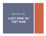 Chương VIII: Luật hình sự Việt Nam