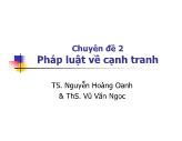 Chuyên đề 2 Pháp luật về cạnh tranh