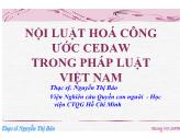 Nội luật hoá công ước CEDAW trong pháp luật Việt Nam